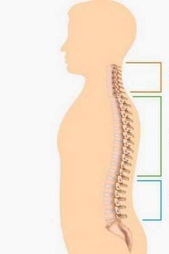 lesion of osteochondrosis of different parts of the spine